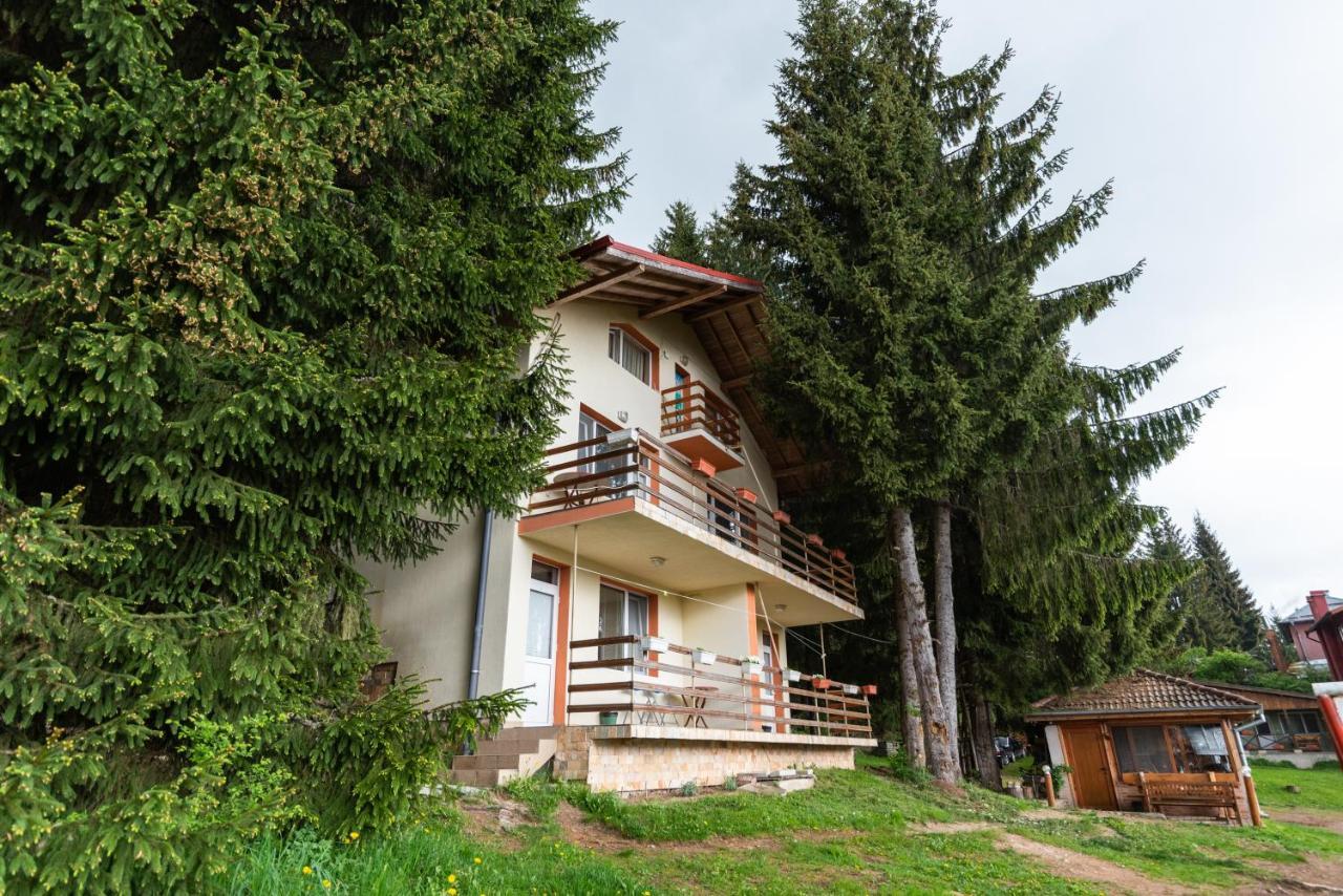 Orlino Holiday Park Sarnitsa Esterno foto