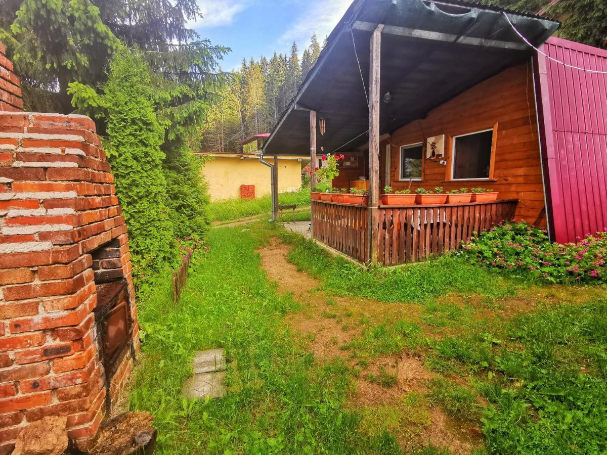 Orlino Holiday Park Sarnitsa Esterno foto
