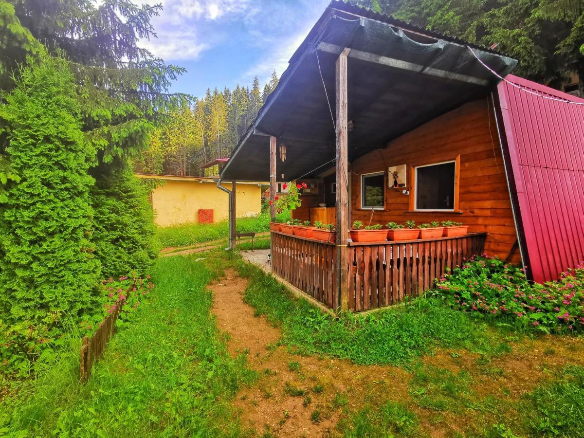 Orlino Holiday Park Sarnitsa Esterno foto