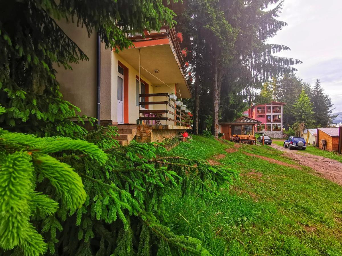 Orlino Holiday Park Sarnitsa Esterno foto